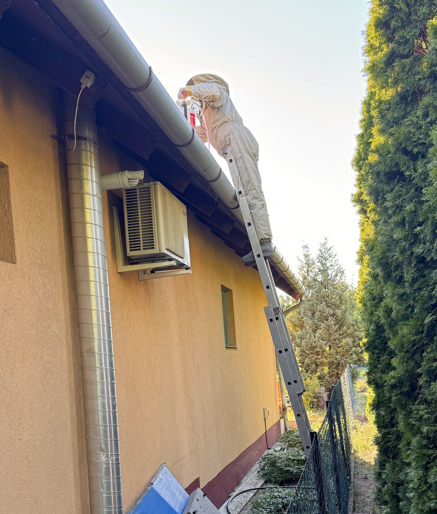 Éves megelőző kezelés darázsirtó szakemberrel